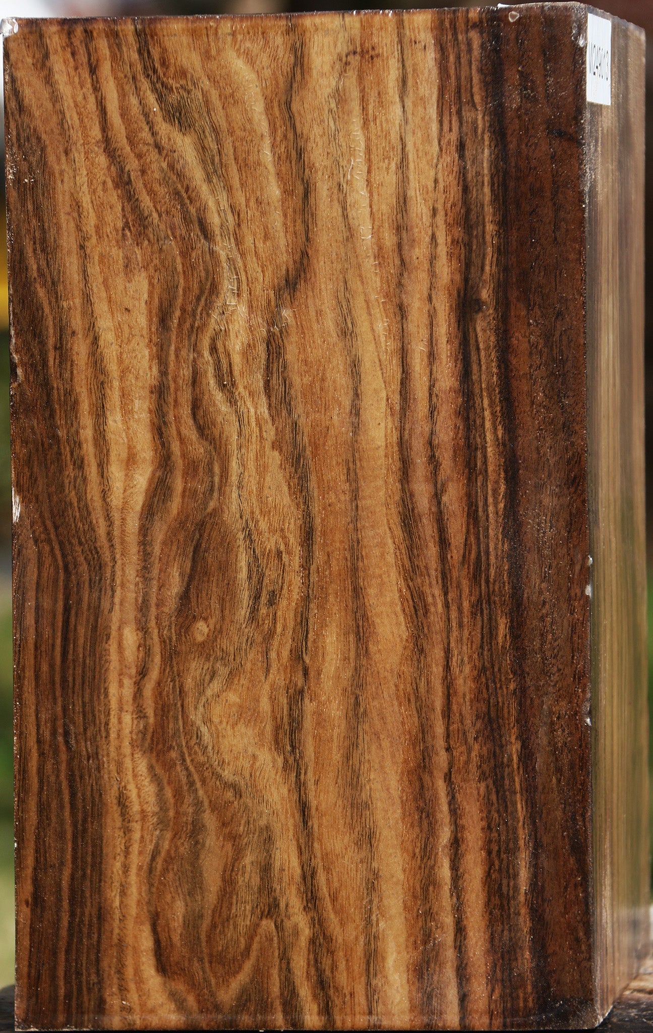 Claro Walnut Vessel Blank