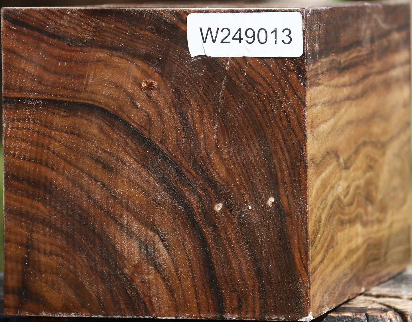 Claro Walnut Vessel Blank