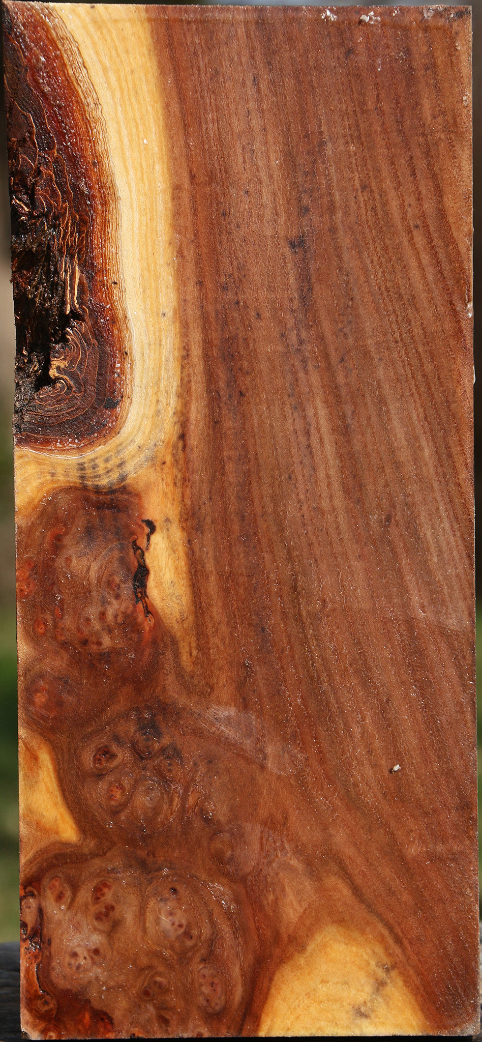 Figured Elm Vessel Blank
