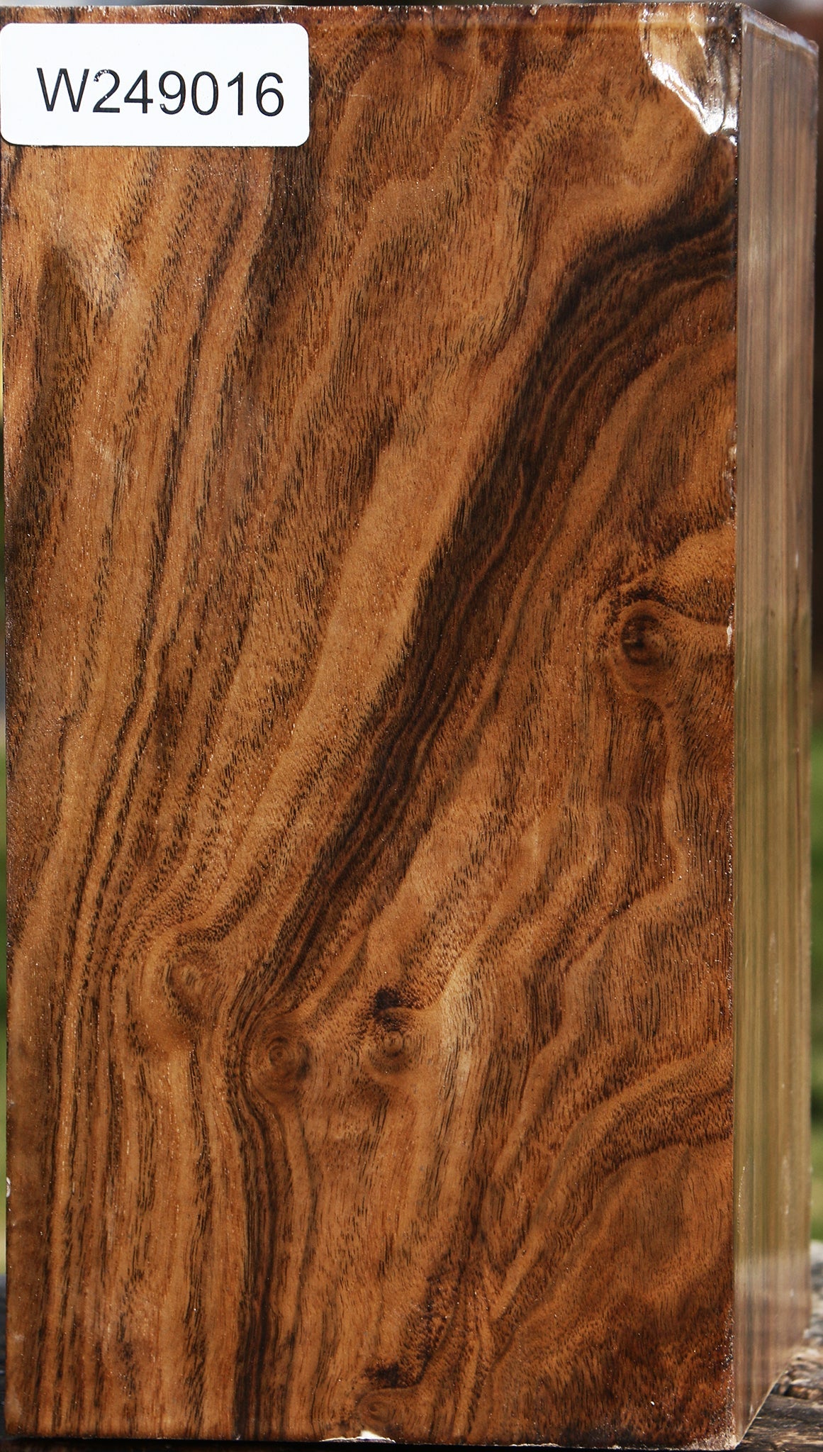 Claro Walnut Vessel Blank