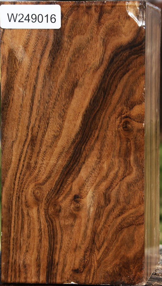 Claro Walnut Vessel Blank