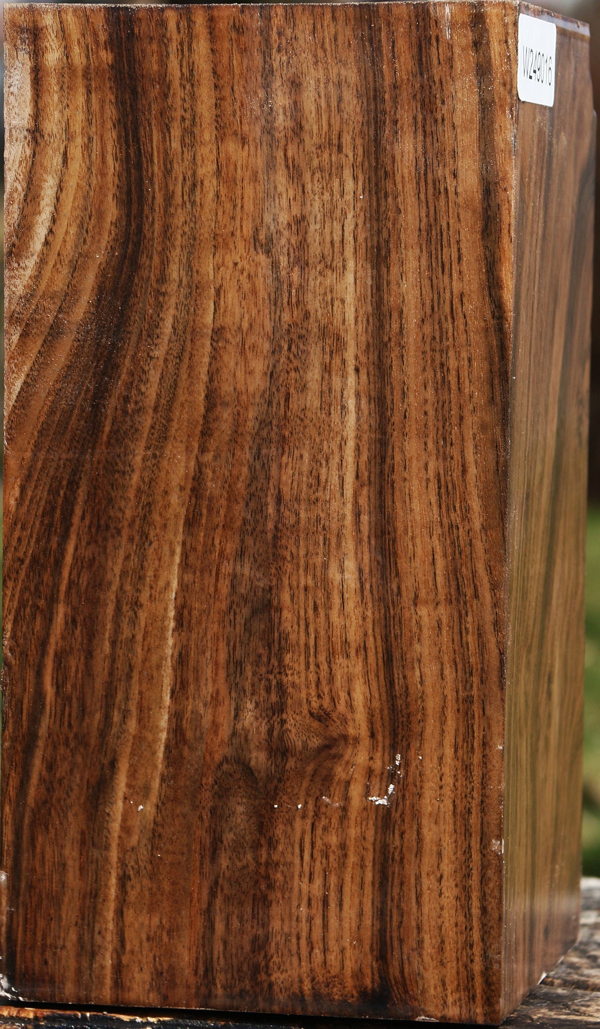 Claro Walnut Vessel Blank
