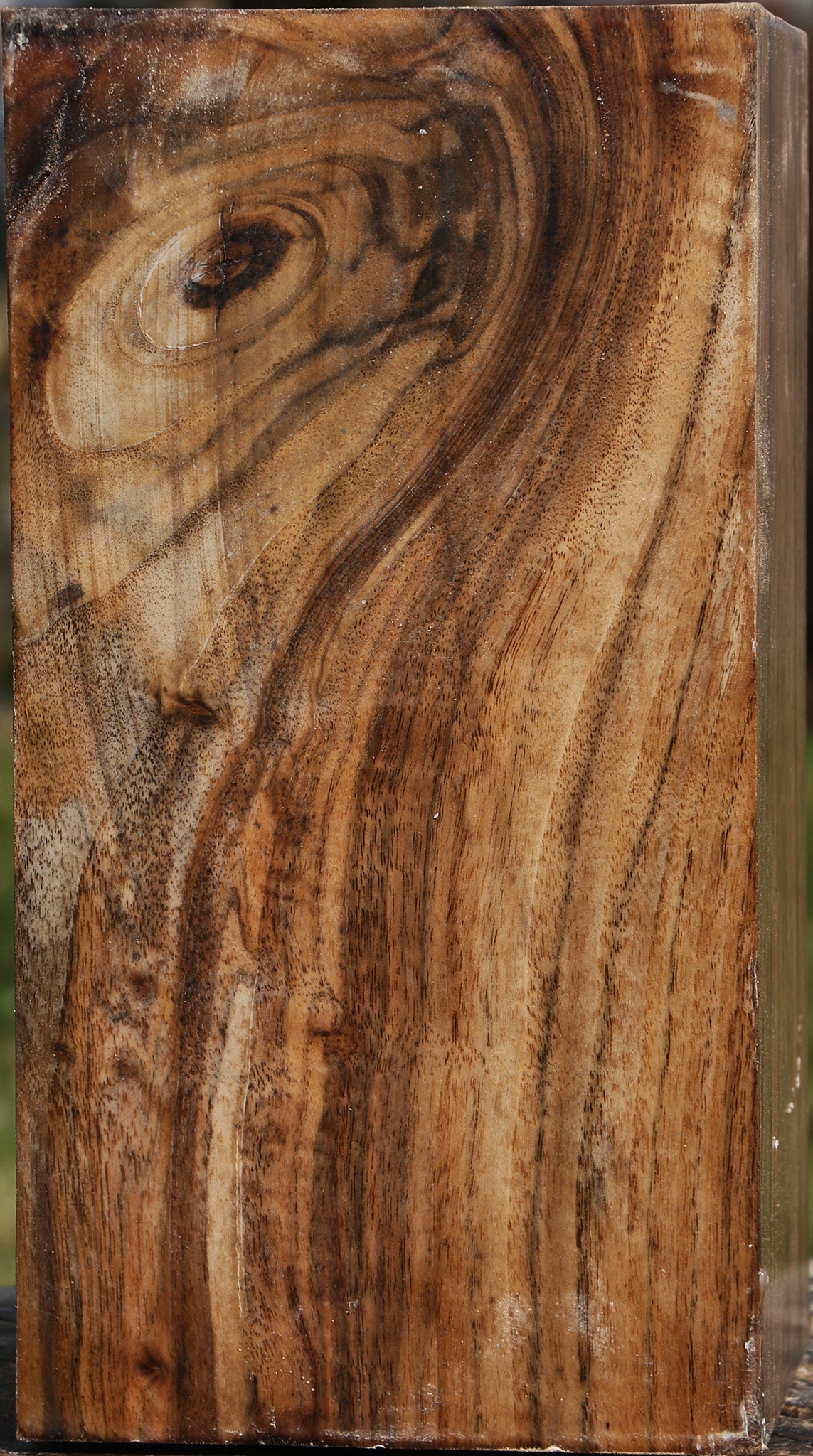Claro Walnut Vessel Blank