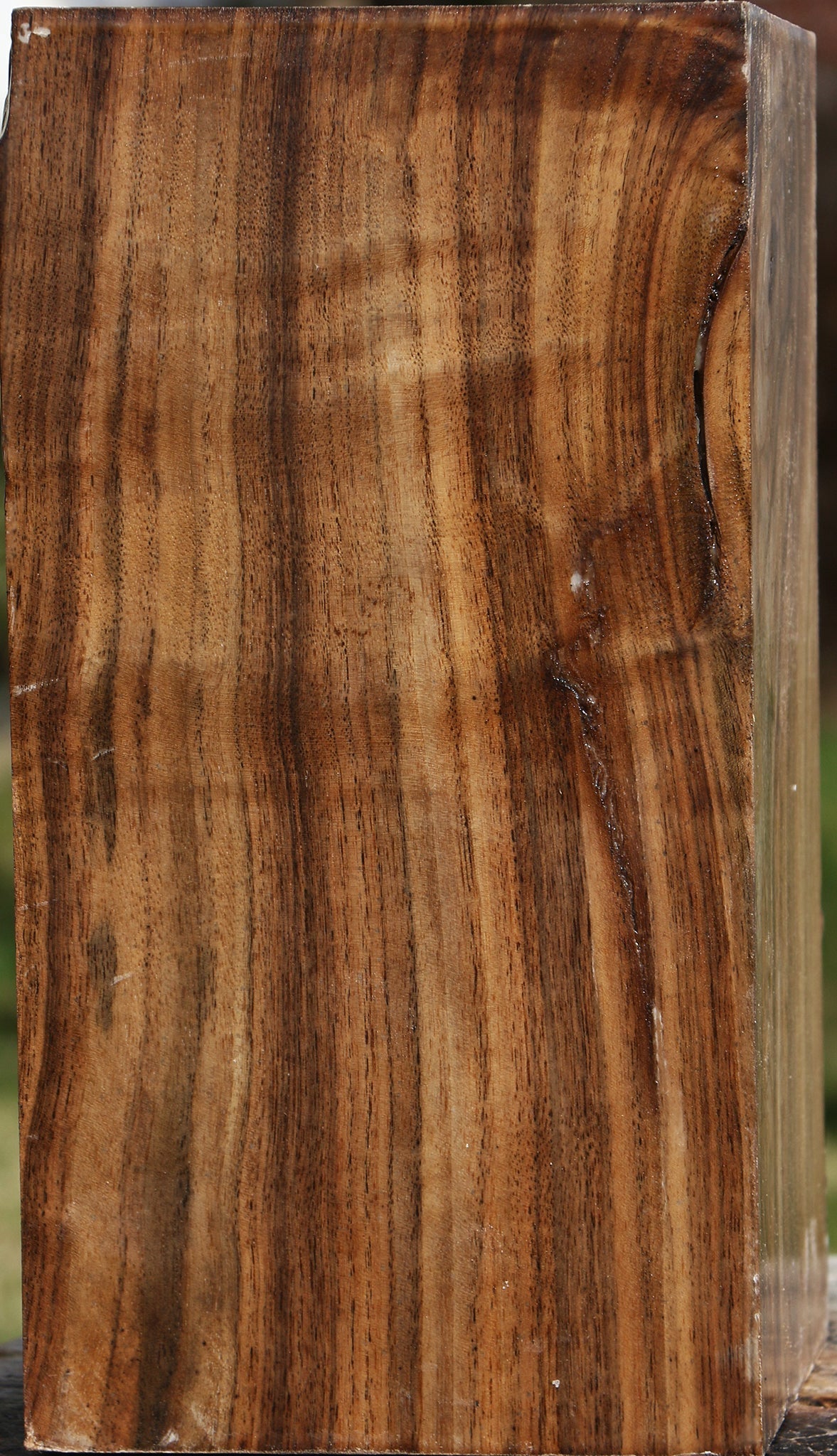 Claro Walnut Vessel Blank