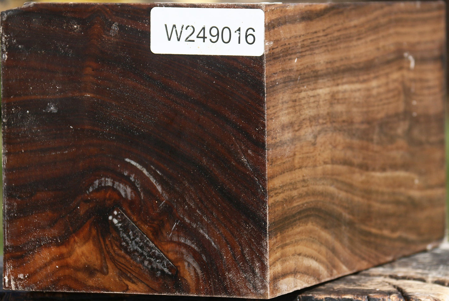 Claro Walnut Vessel Blank