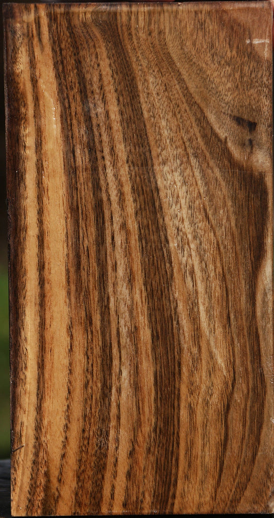 Claro Walnut Vessel Blank