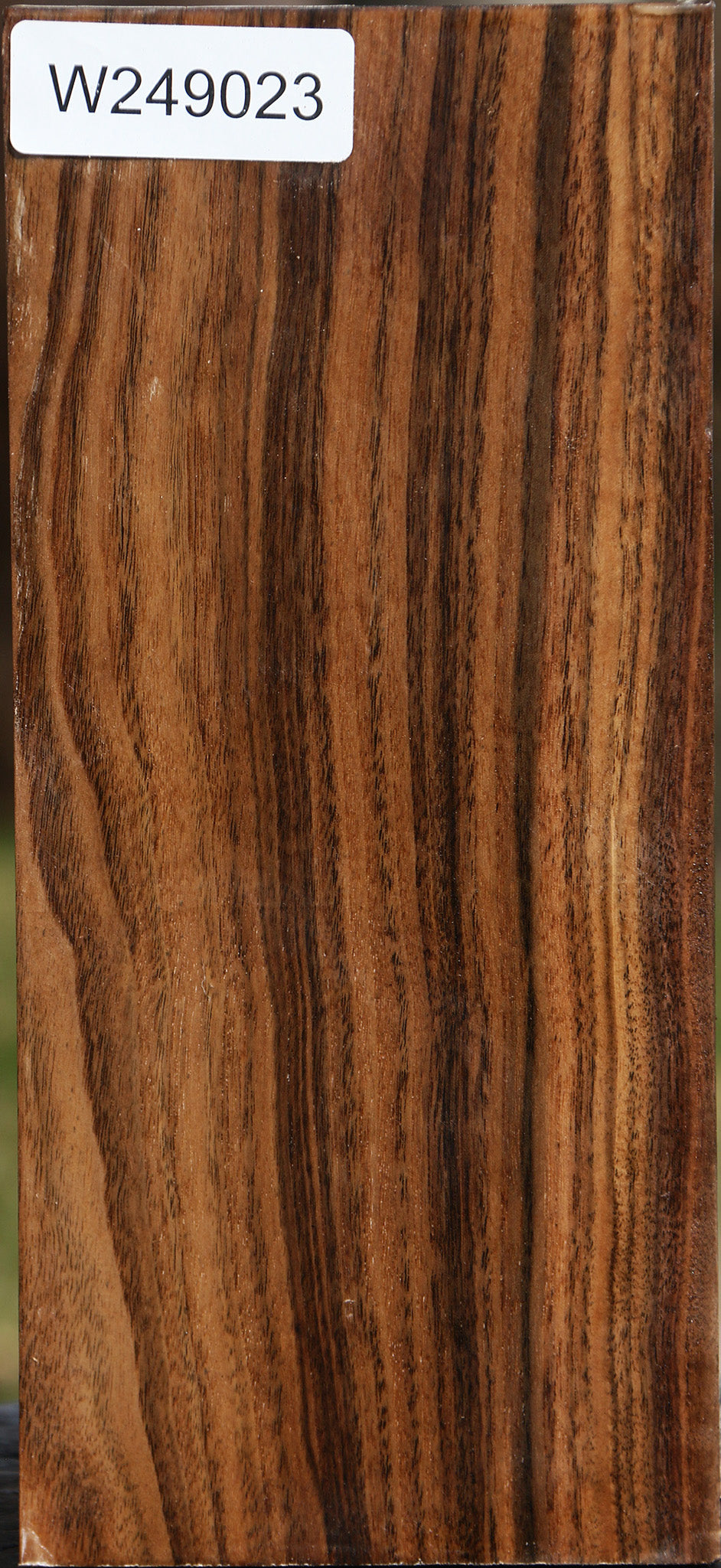 Claro Walnut Vessel Blank