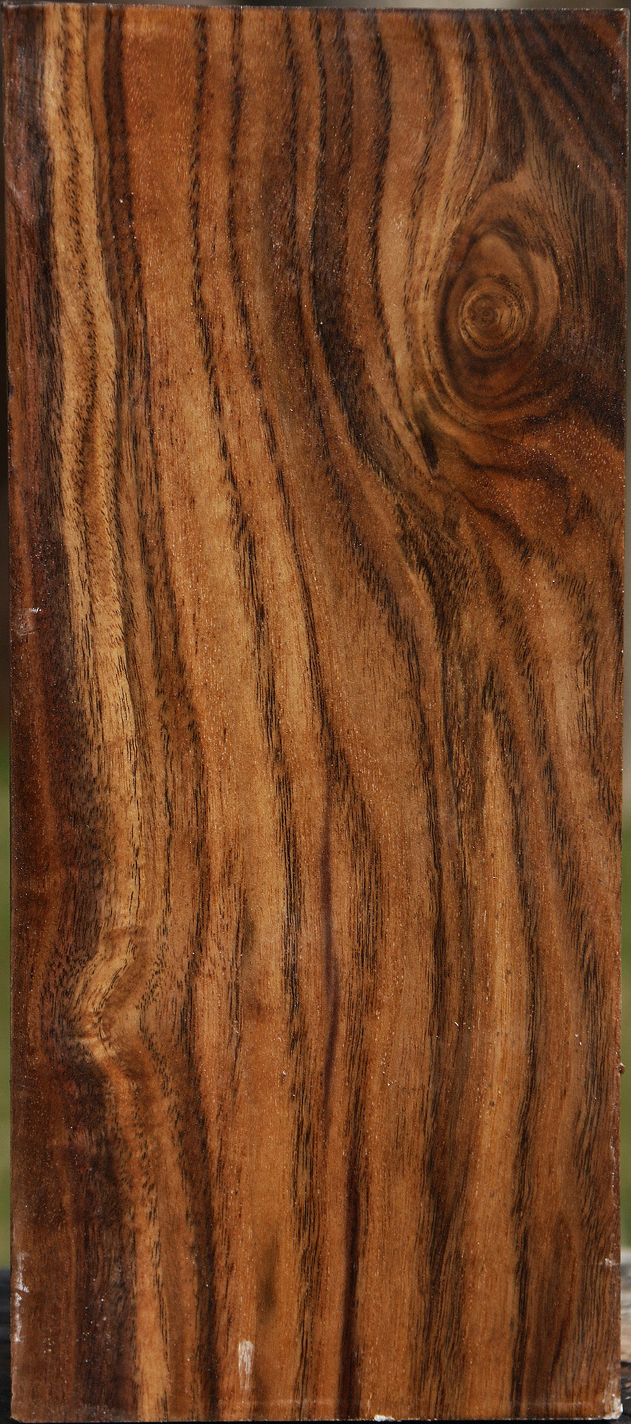 Claro Walnut Vessel Blank