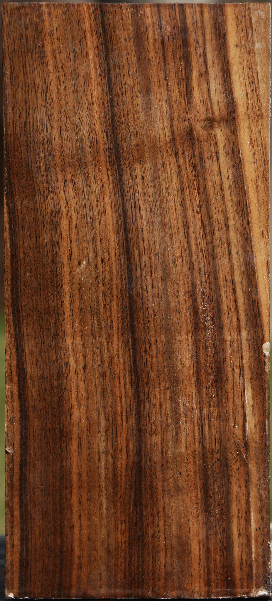 Claro Walnut Vessel Blank