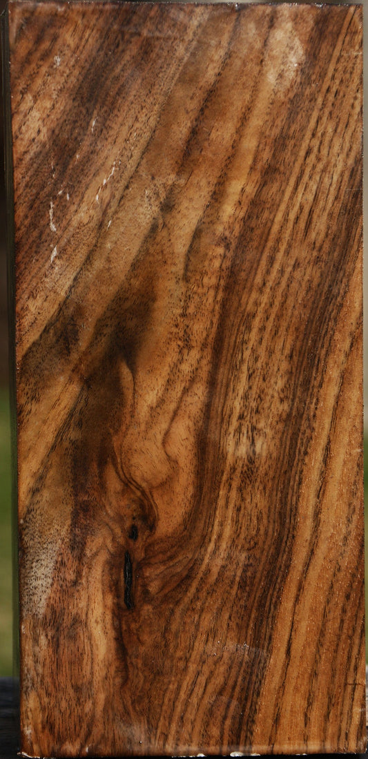 Claro Walnut Vessel Blank