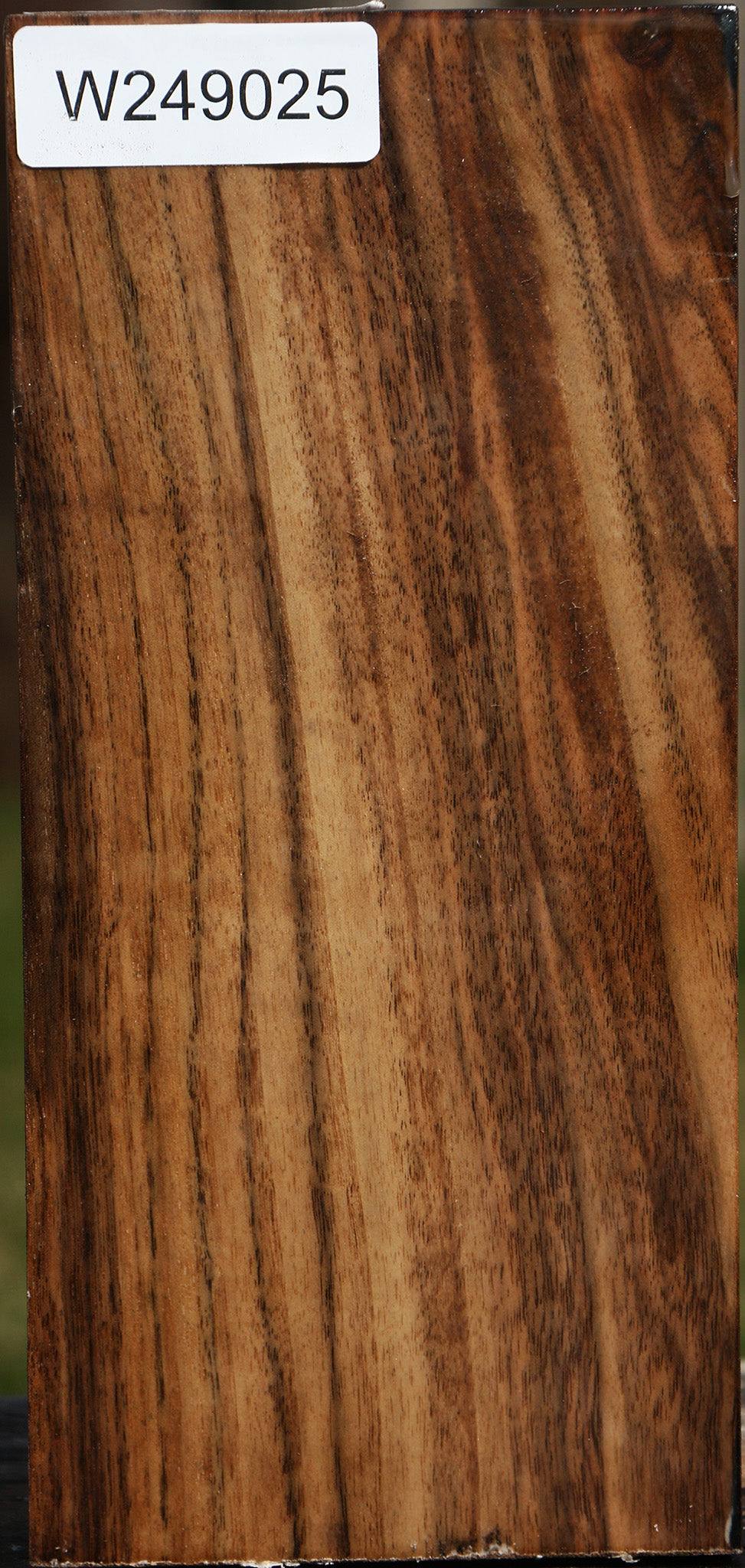 Claro Walnut Vessel Blank