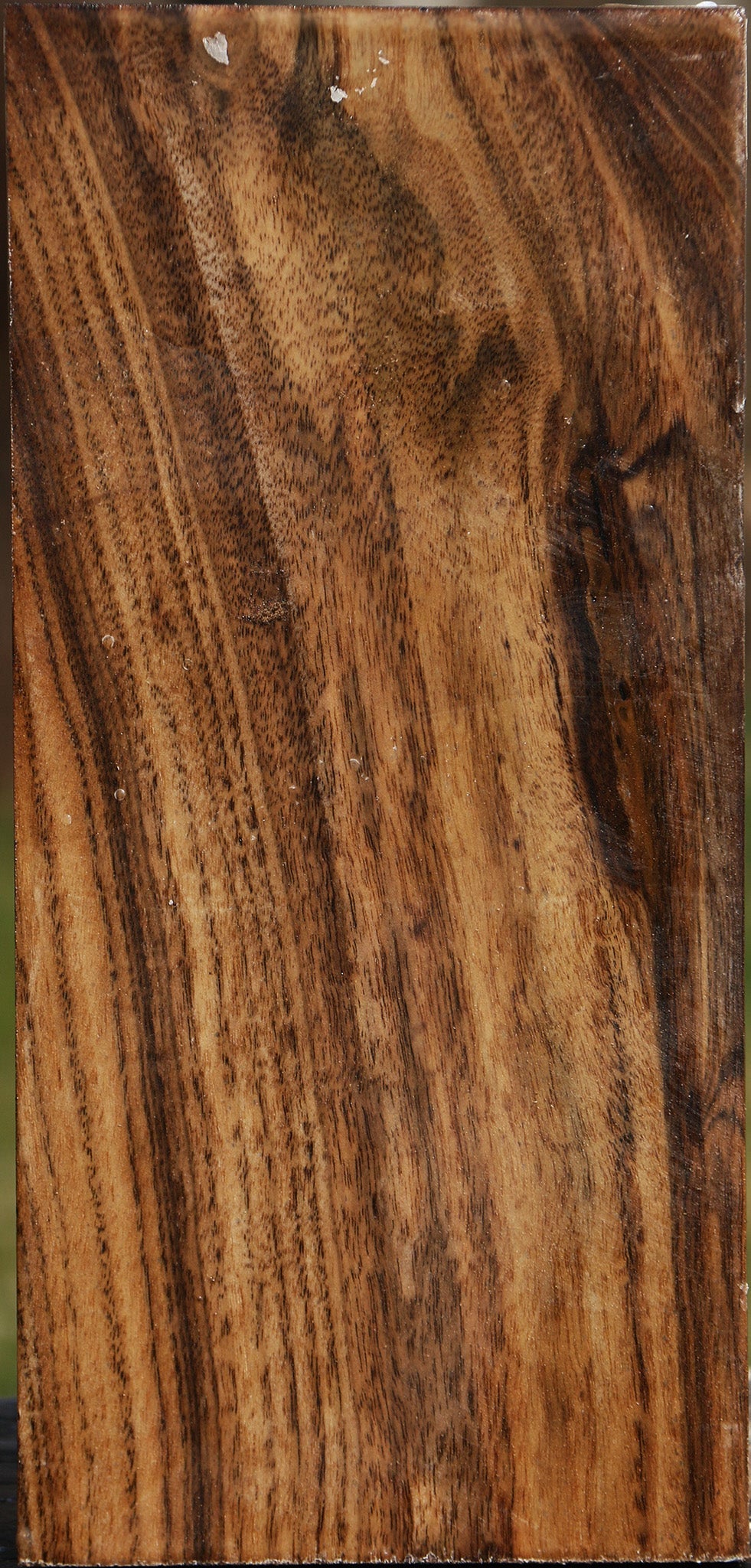 Claro Walnut Vessel Blank