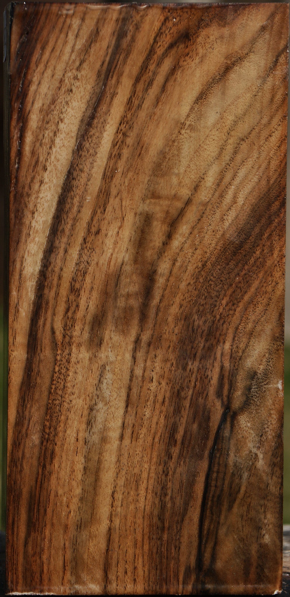 Claro Walnut Vessel Blank