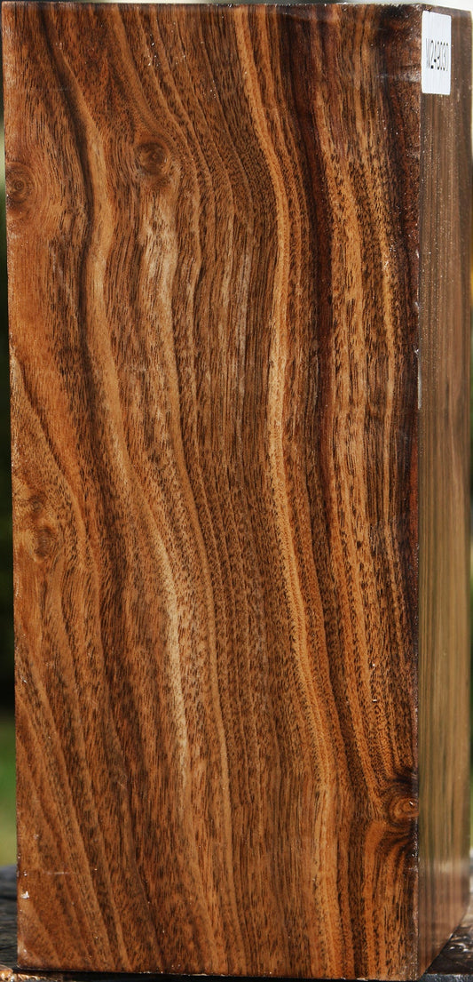 Claro Walnut Vessel Blank