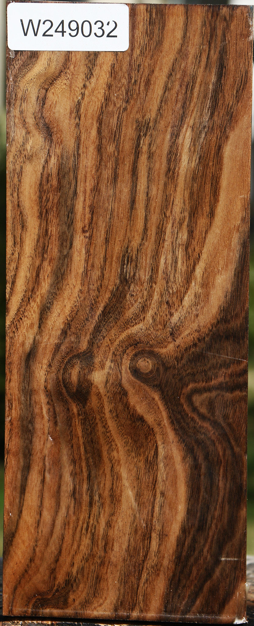 Claro Walnut Vessel Blank