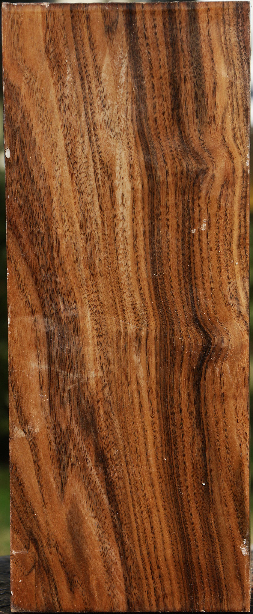 Claro Walnut Vessel Blank
