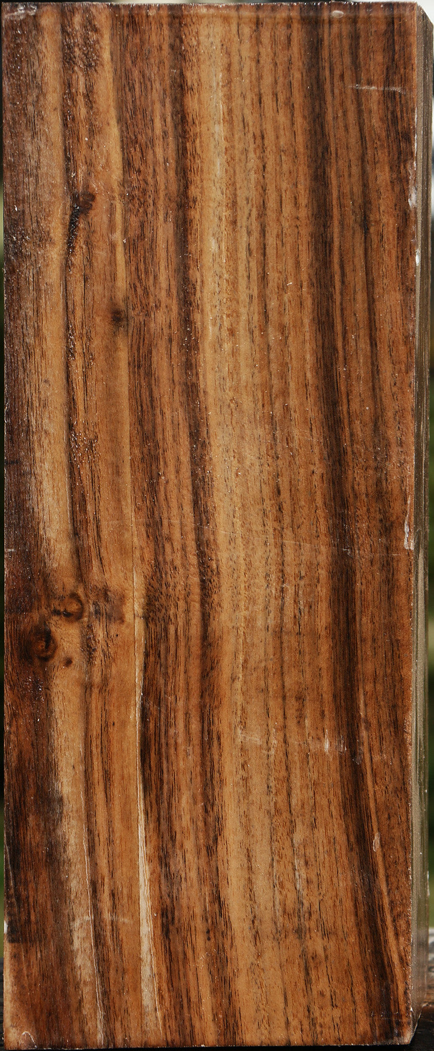 Claro Walnut Vessel Blank
