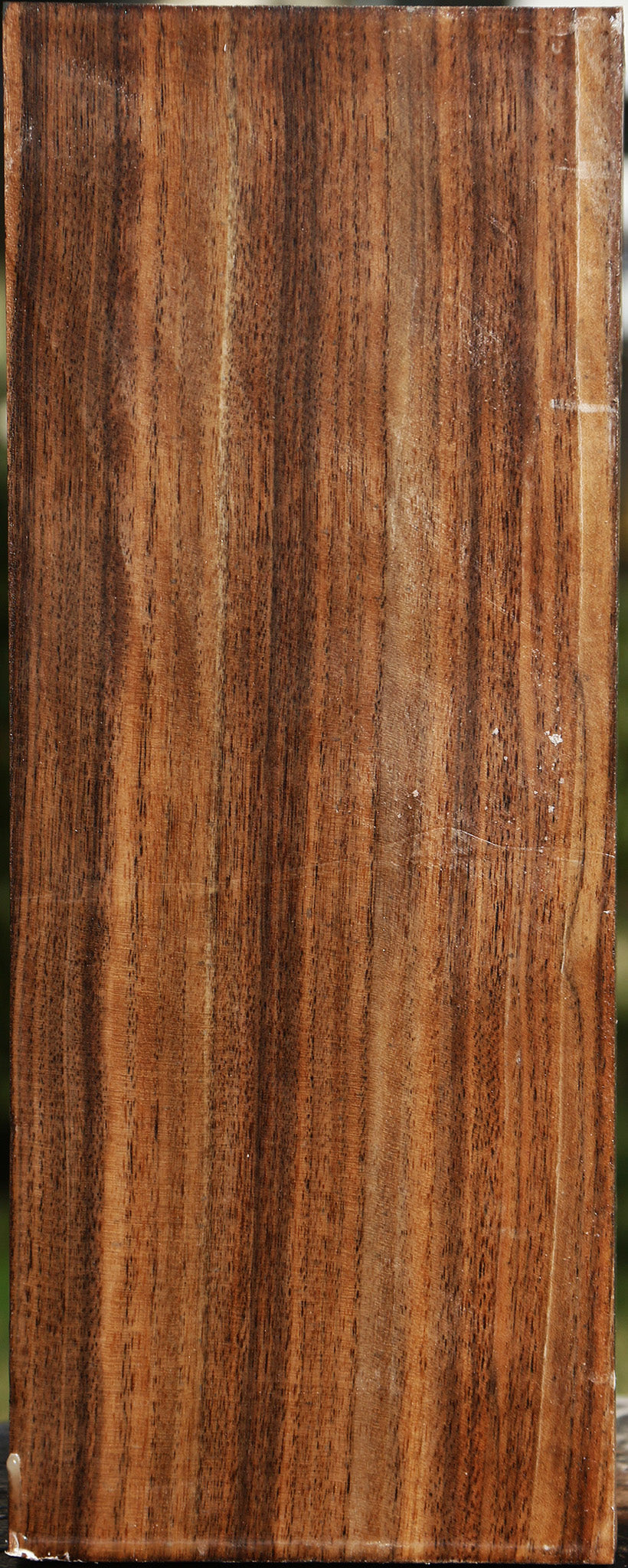 Claro Walnut Vessel Blank