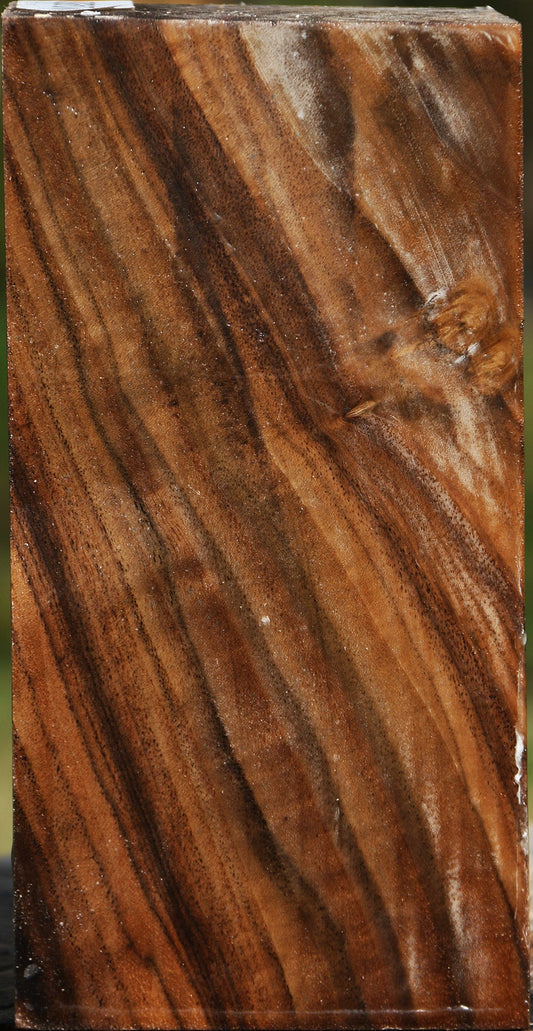 Claro Walnut Vessel Blank