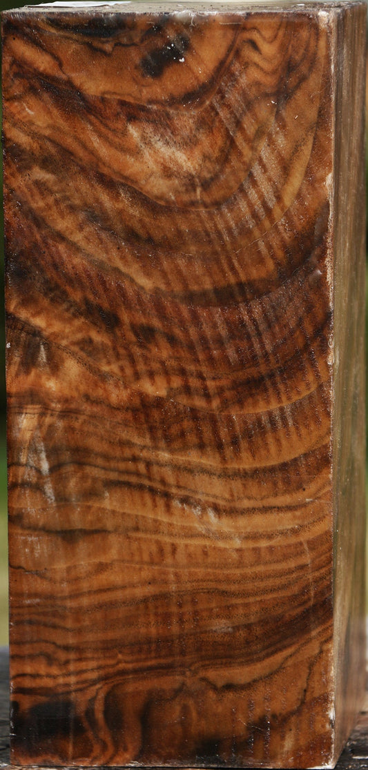 Extra Fancy Claro Walnut Vessel Blank