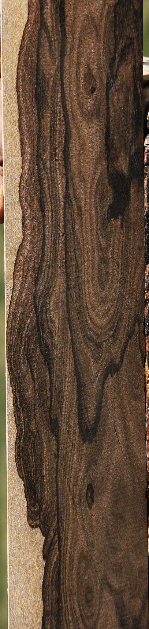 Extra Fancy Ziricote Micro Lumber