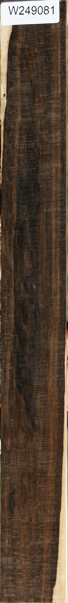 Ziricote Micro Lumber