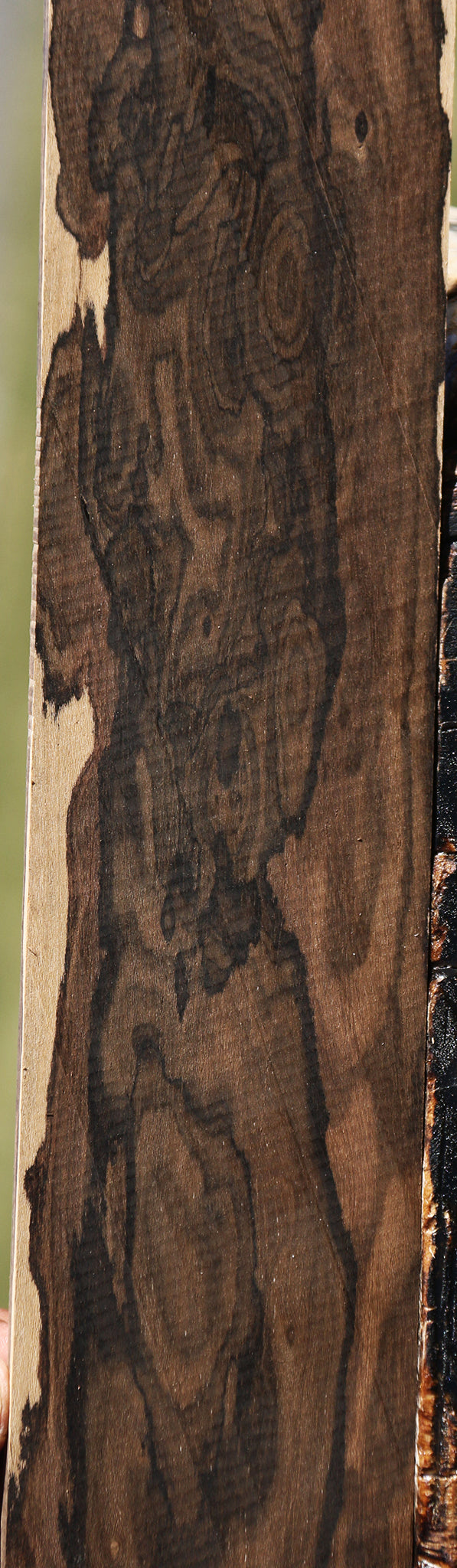 Extra Fancy Ziricote Micro Lumber