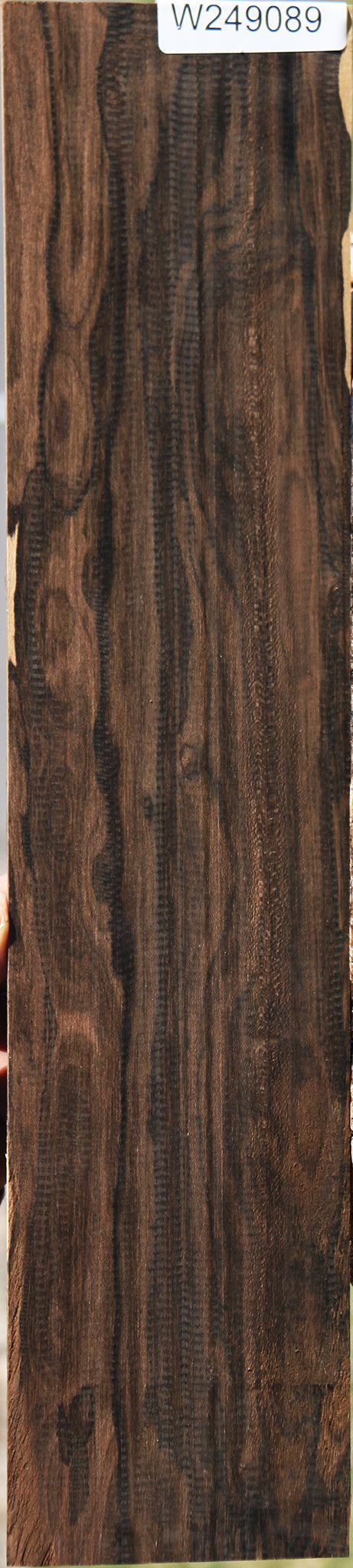 Extra Fancy Ziricote Micro Lumber