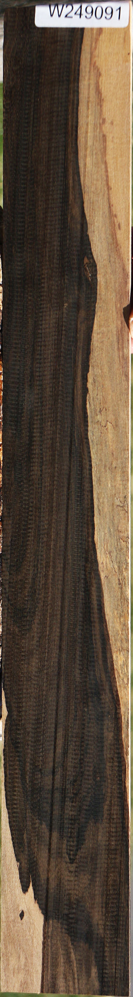 Ziricote Micro Lumber
