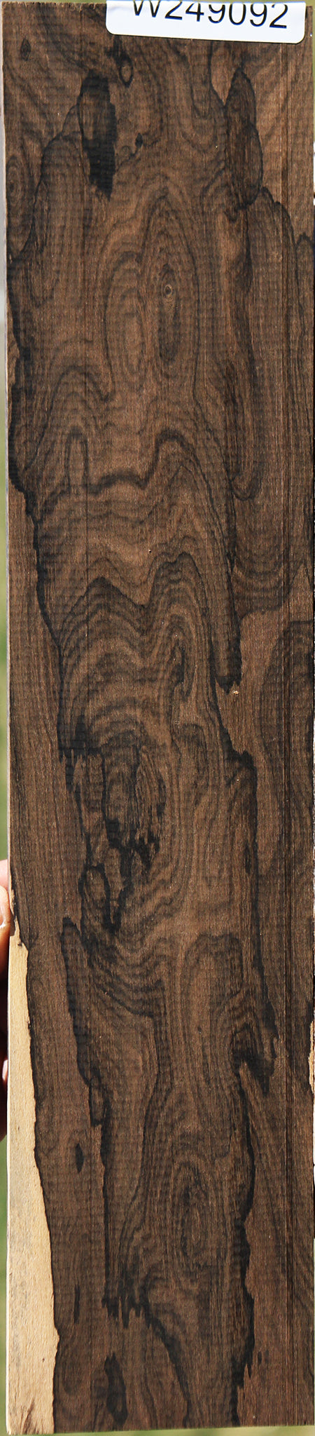 Exhibition Ziricote Micro Lumber