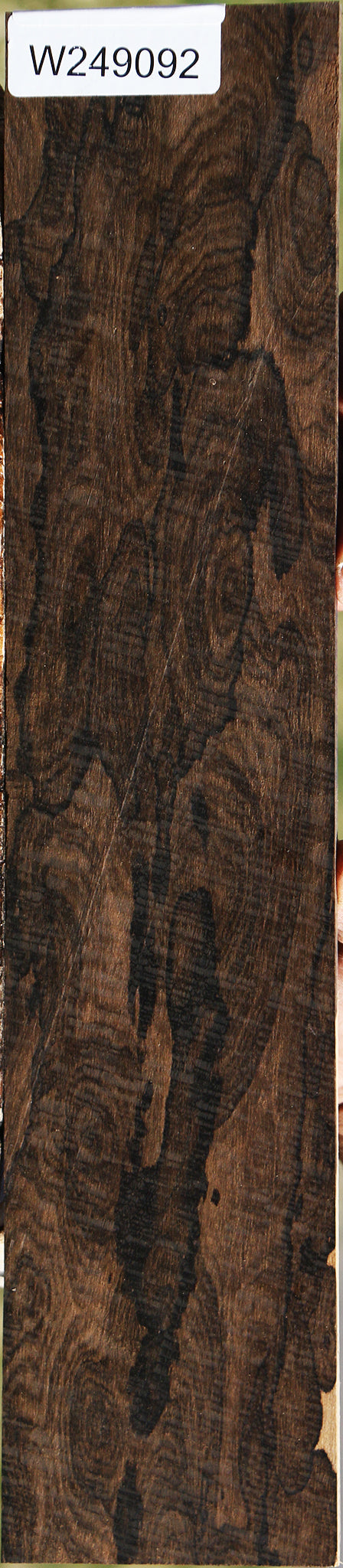 Exhibition Ziricote Micro Lumber
