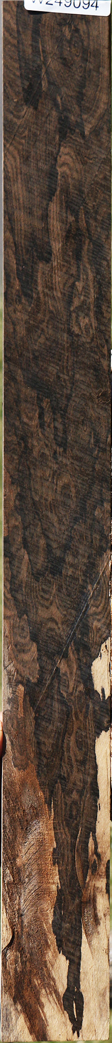 Exhibition Fiddleback Ziricote Micro Lumber