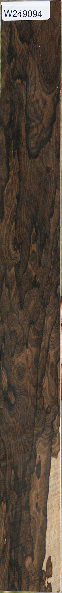 Exhibition Fiddleback Ziricote Micro Lumber