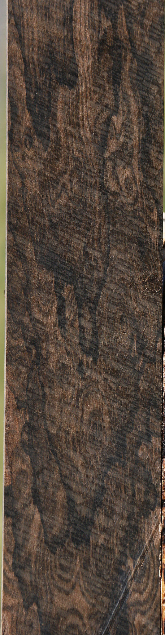 Exhibition Fiddleback Ziricote Micro Lumber