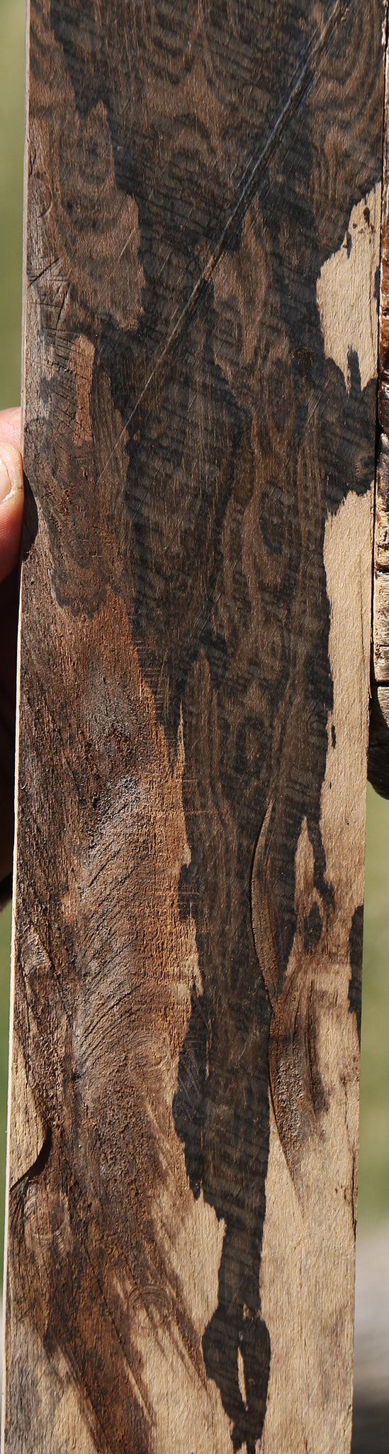 Exhibition Fiddleback Ziricote Micro Lumber