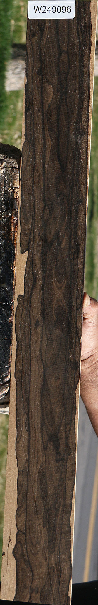 Ziricote Micro Lumber