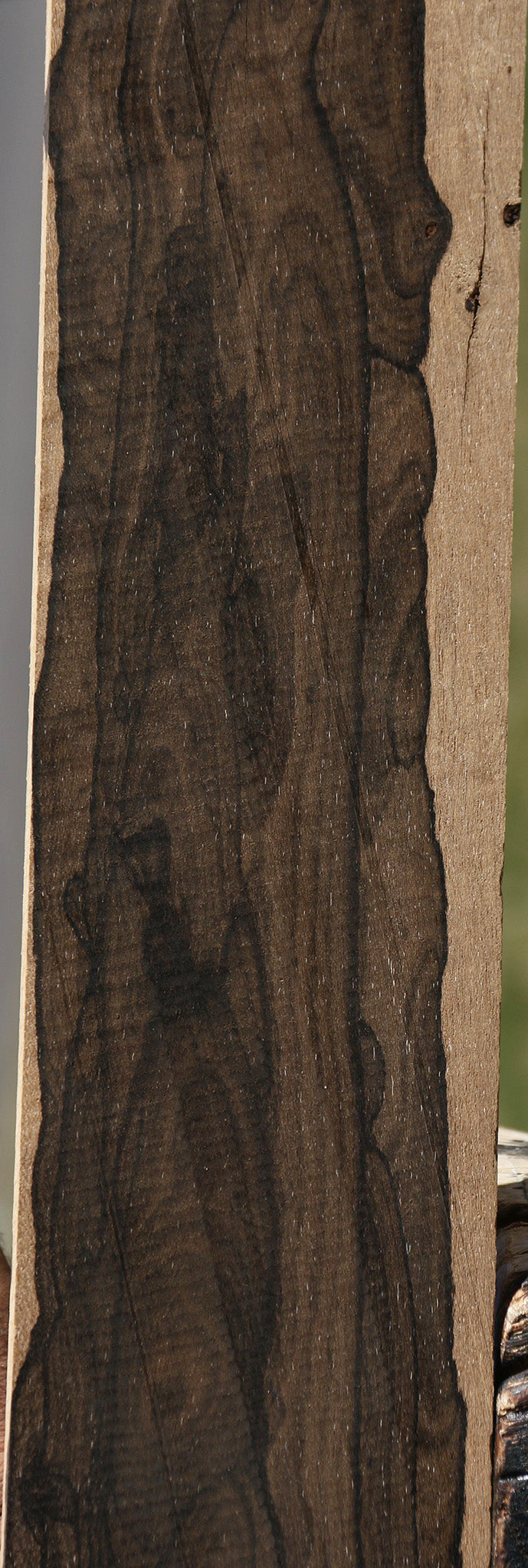Ziricote Micro Lumber
