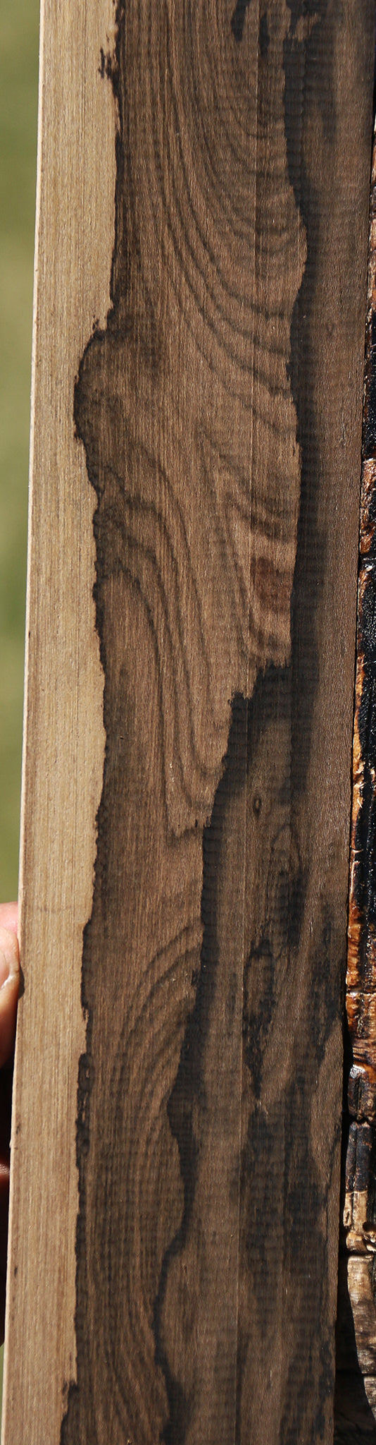 Extra Fancy Ziricote Micro Lumber