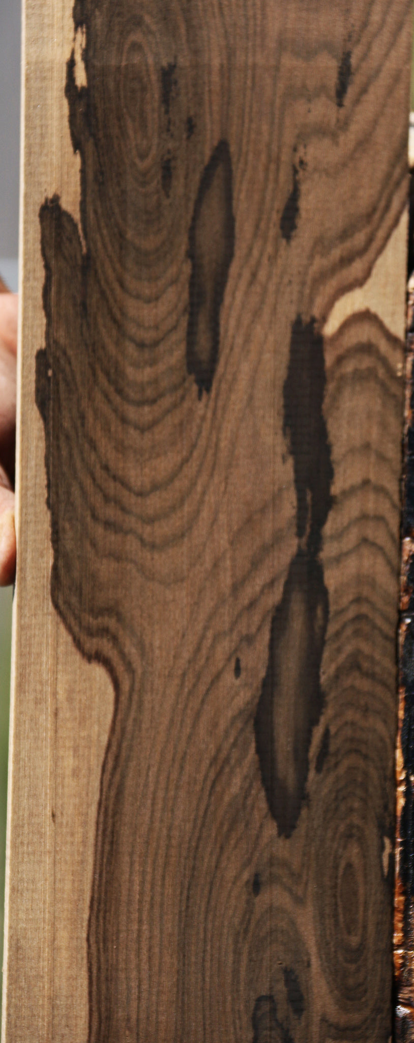 Extra Fancy Ziricote Micro Lumber