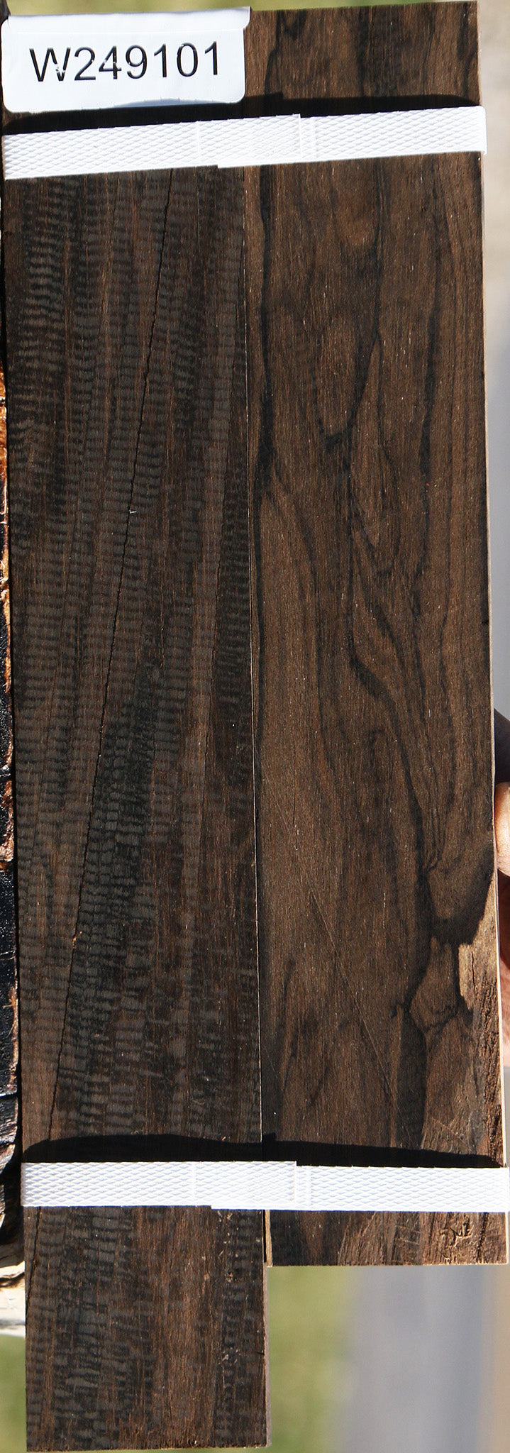 Figured Ziricote Micro Lumber 2 Pack