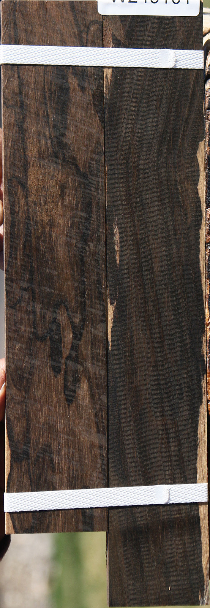 Figured Ziricote Micro Lumber 2 Pack