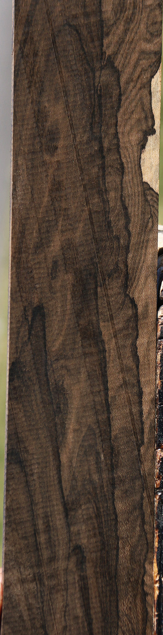 Exhibition Ziricote Micro Lumber