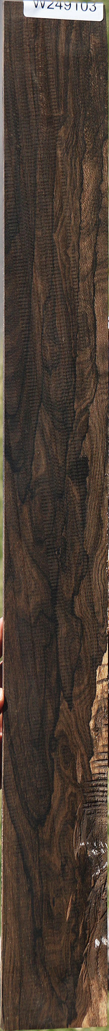 Exhibition Ziricote Micro Lumber
