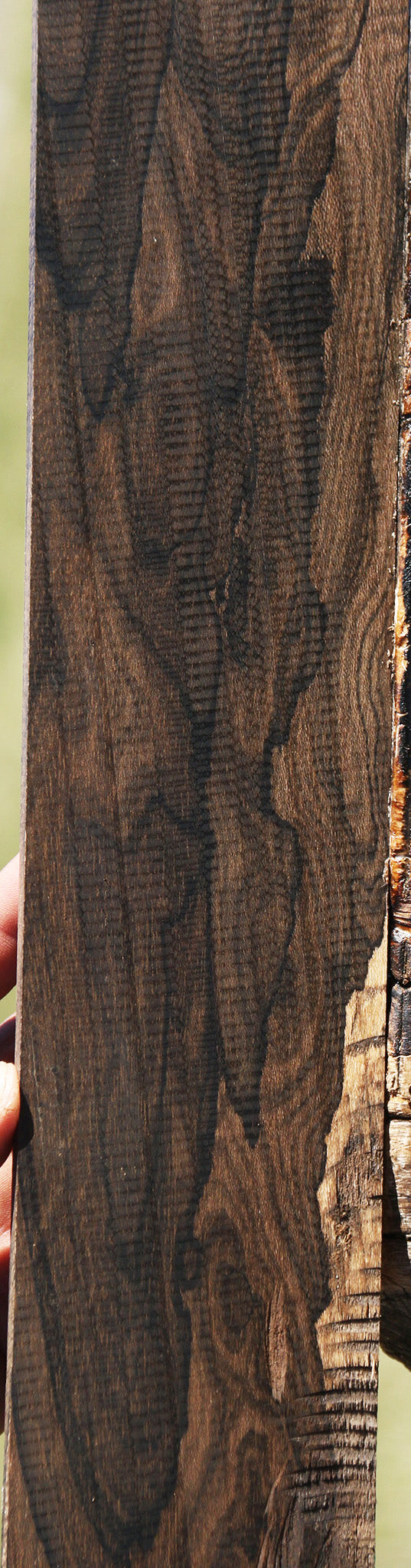 Exhibition Ziricote Micro Lumber