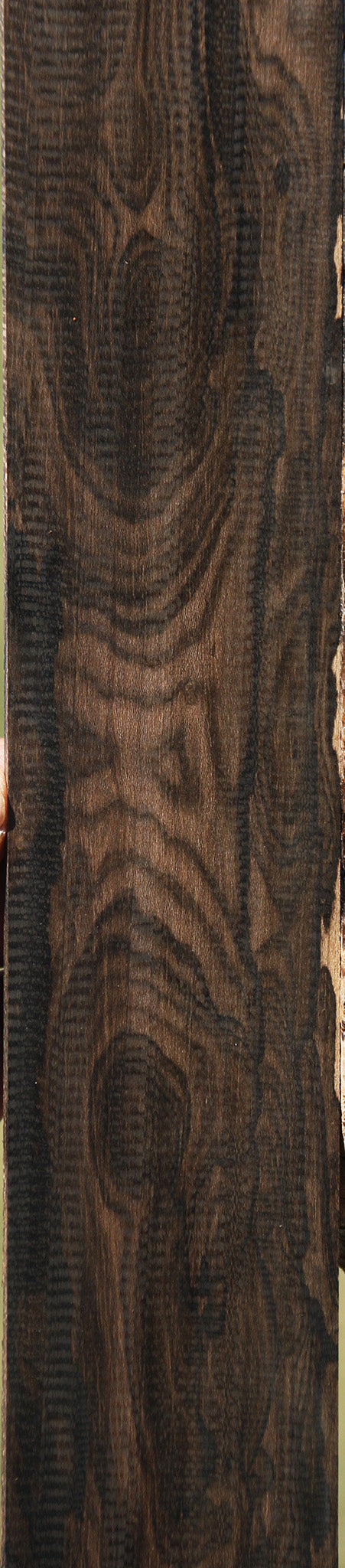 Exhibition Ziricote Micro Lumber