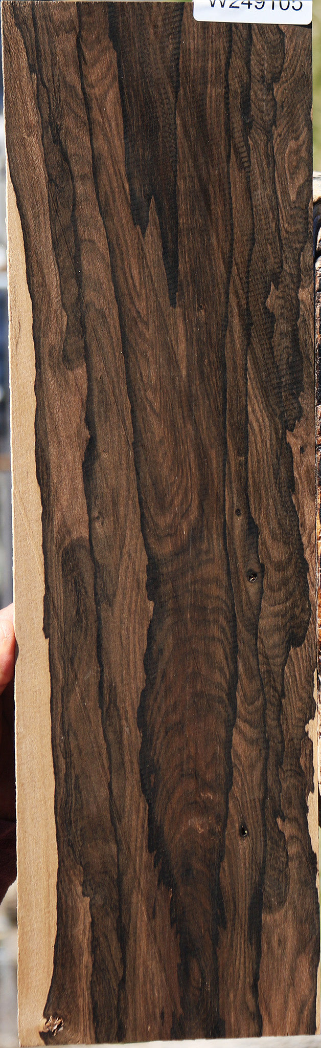 Exhibition Ziricote Micro Lumber