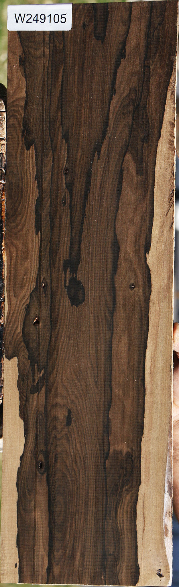 Exhibition Ziricote Micro Lumber