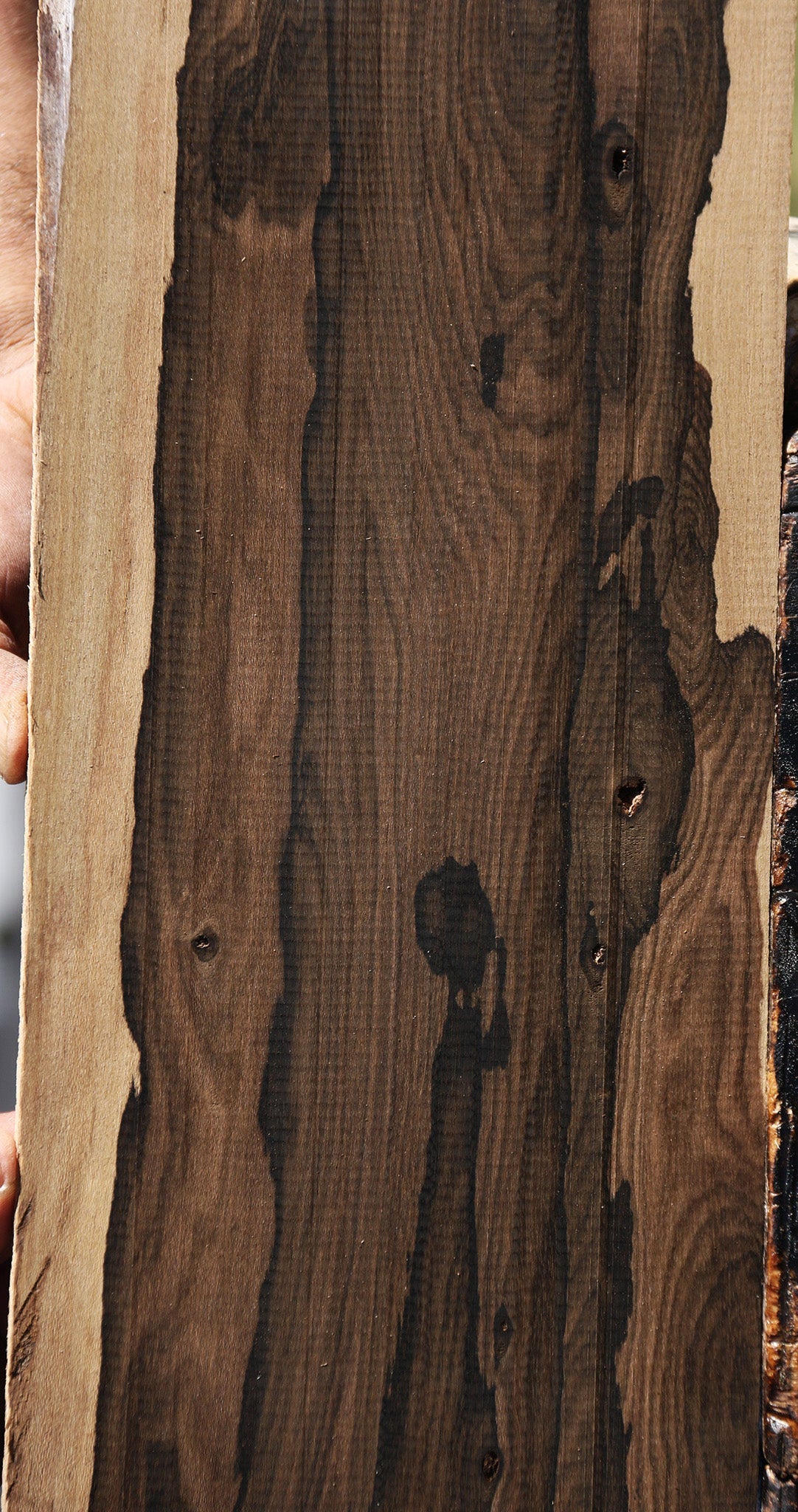 Exhibition Ziricote Micro Lumber