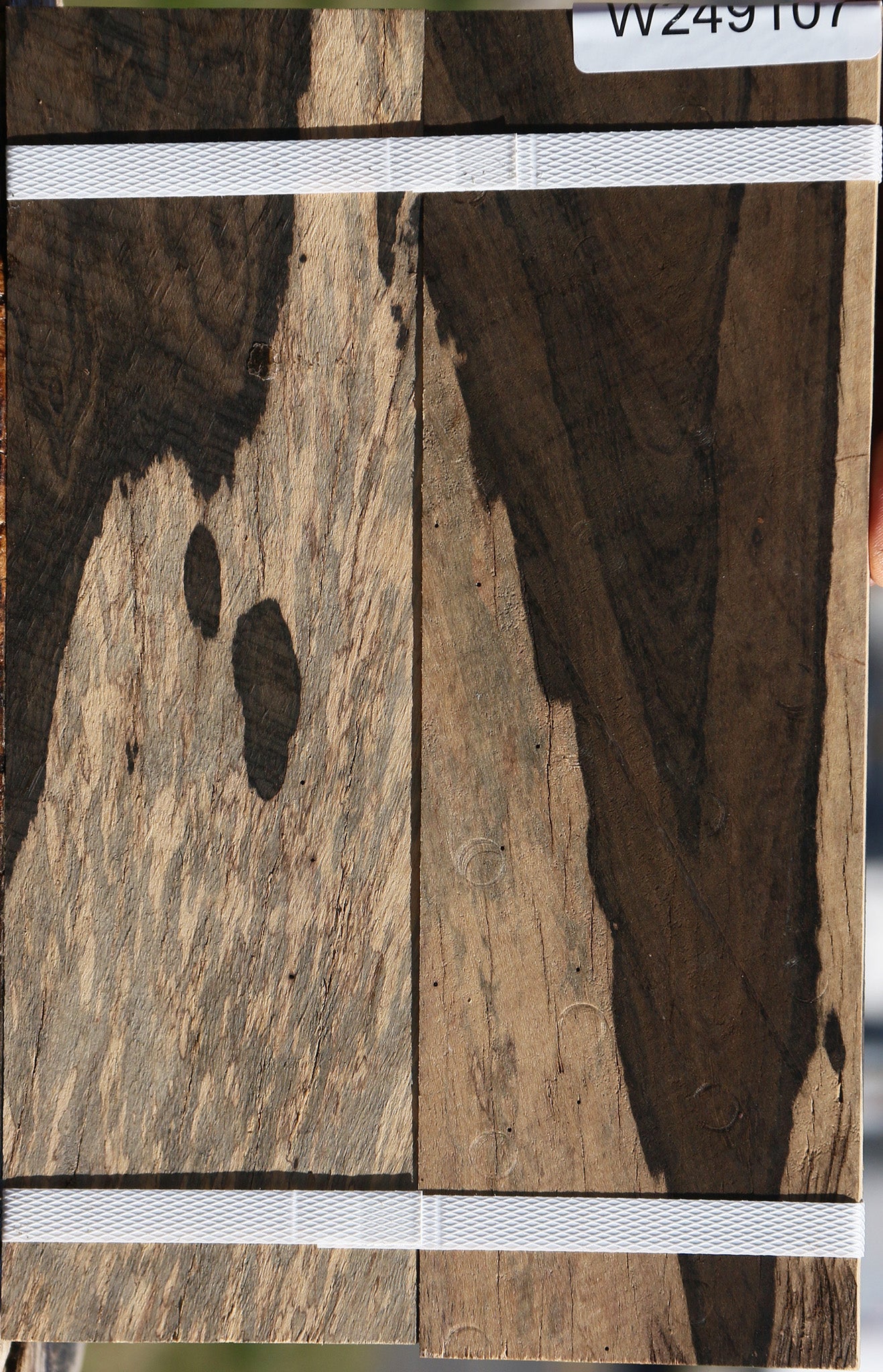 Figured Ziricote Micro Lumber 2 Pack