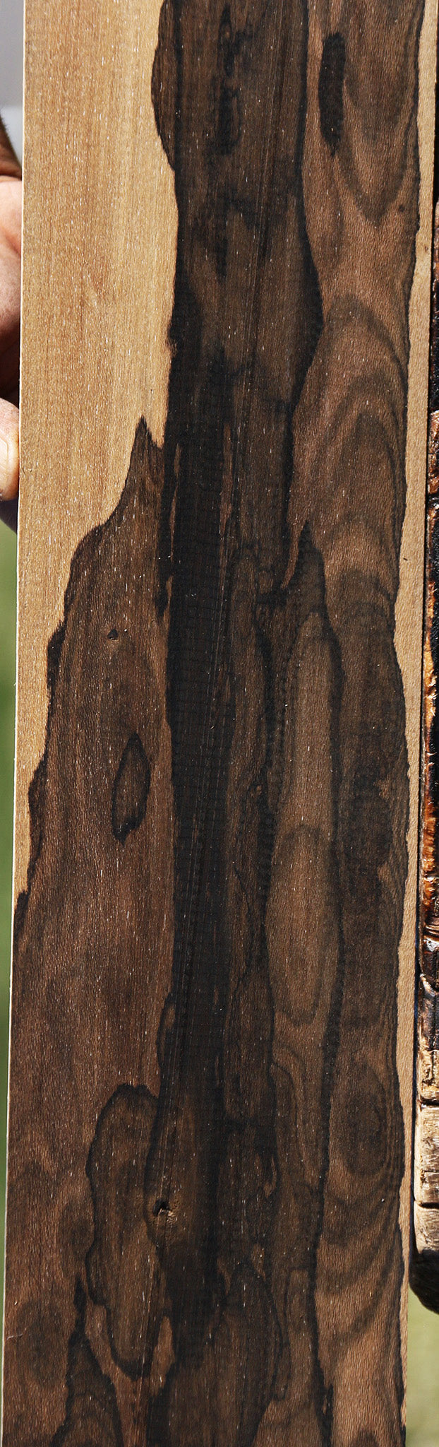 Ziricote Micro Lumber